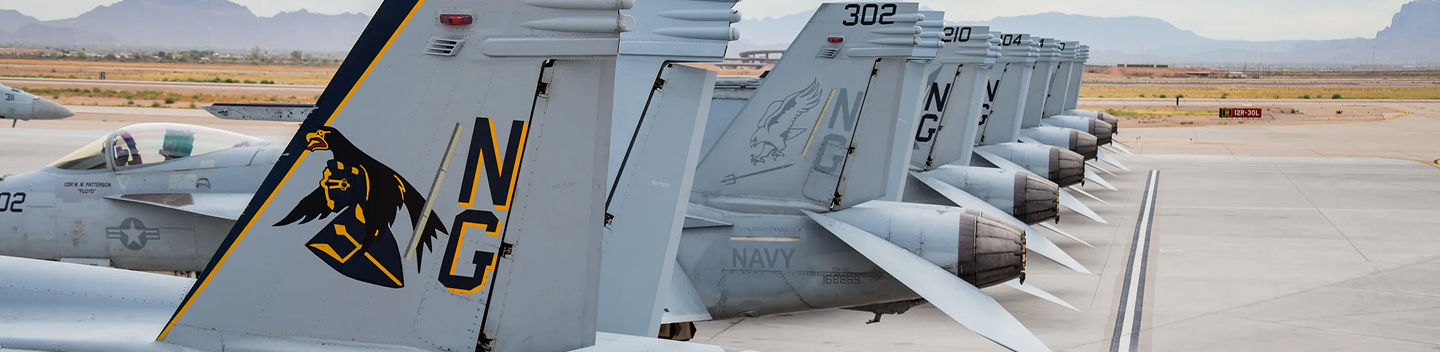 A line of gray F/A-18 Super Hornet fighter jets parked on an airfield, with mountains in the background.